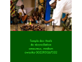 Détails :   Rituel D'énergie du cœur au service de votre couple. Medium Owo Sika